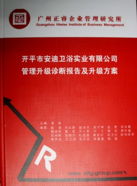 《開平市安迪衛浴實業有限公司管理升級診斷報告及升級方案》