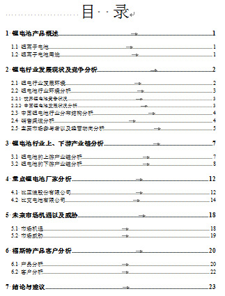 《福斯特集團調查報告書》